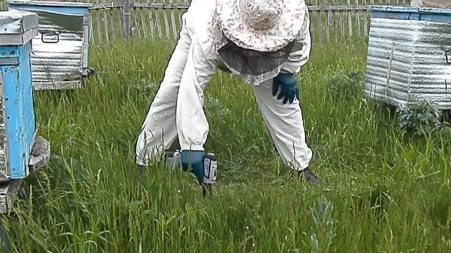 Шуруповёртом косим траву.