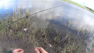 рыбалка на озере .на карася.в шахах.