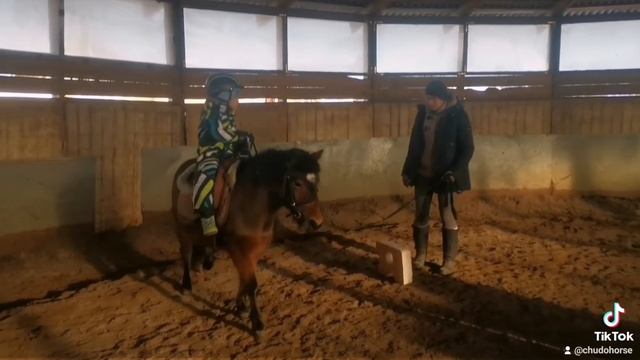 занятия с маленькими детьми. Конный клуб ChudoHorse #лошади #верховаяезда #пони