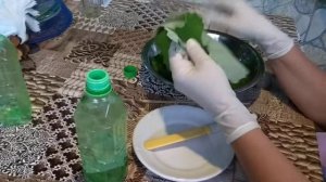 Сухая заготовка виноградных листьев для долмы