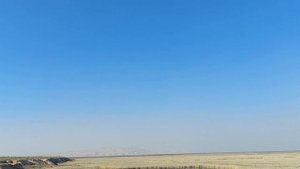 Дикая природа Таджикистана / Wildlife of Tajikistan  #Бешаи #палангон #Тигровая #балка