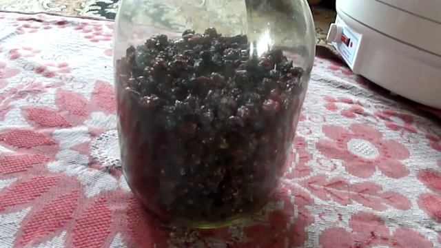 Как засушить черную смородину?Сушеная черная смородина. смотреть онлайн