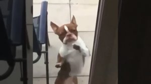 когда ждёшь выходные)