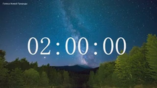 Обратный отсчет Таймер 4 часа. Звуки живой природы / Countdown. Timer 4 hours. #ГолосаЖивойПрироды