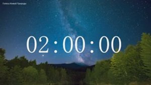Обратный отсчет Таймер 4 часа. Звуки живой природы / Countdown. Timer 4 hours. #ГолосаЖивойПрироды
