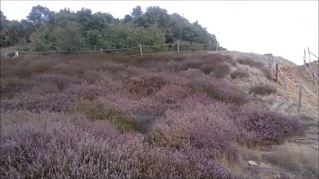 Le Biancane di Monterotondo смотреть онлайн