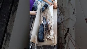 Распаковка посылки с саженцами от Агро Маркет 24