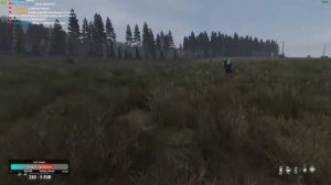 #DayZ идем рейдить все что видим