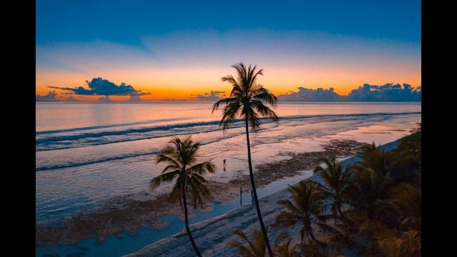 Relaxation music with birds,sea,landscapes смотреть онлайн