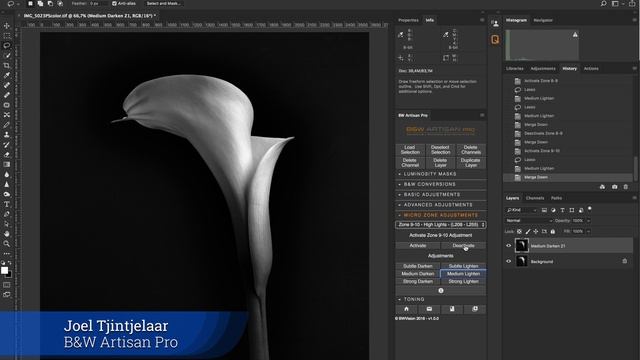 B&W Artisan Pro | Full Demo 3 - Still Life flower #2 смотреть онлайн