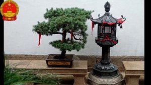 Храм Нефритового Будды Юйфосы в Шанхае