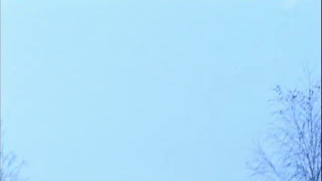 Трошев.mp4