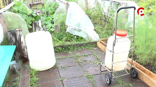 Дачники несколько недель остаются без воды смотреть онлайн