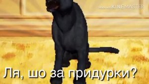 Типы игроков в Cat Simulator