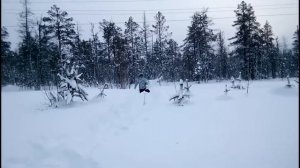 Зимняя охота на куропатку)))