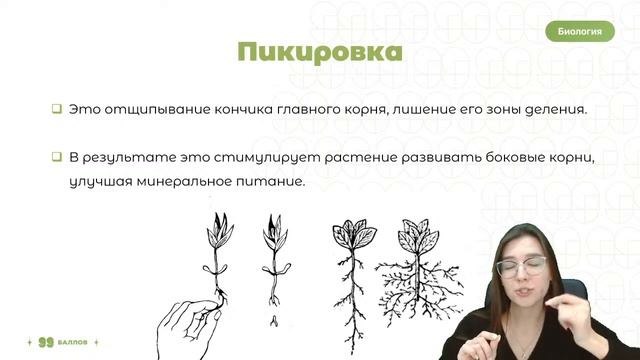 АГРОПРИЁМЫ | БИОЛОГИЯ ОГЭ | 99 БАЛЛОВ смотреть онлайн