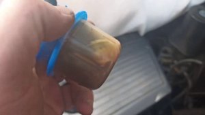 Фильтр картерных газов.