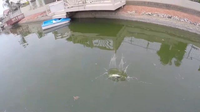 Arrowhead Lakes Az| ft (602 Outdoors) смотреть онлайн