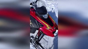 Покатушки , отдых на снегоходе Стелс капитан 150(200).