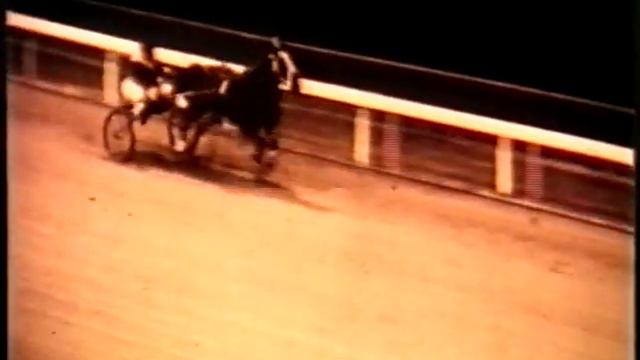 Harness Racing,Harold Park-03/03/1967 Miracle Mile (Robin Dundee-R.Cameron) смотреть онлайн