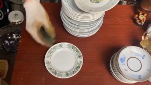 СТАРЬЁВЩИКИ: Вот так закупились....
