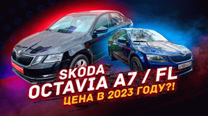 Skoda Octavia A7 / A7 FL - рынок в 2023 году