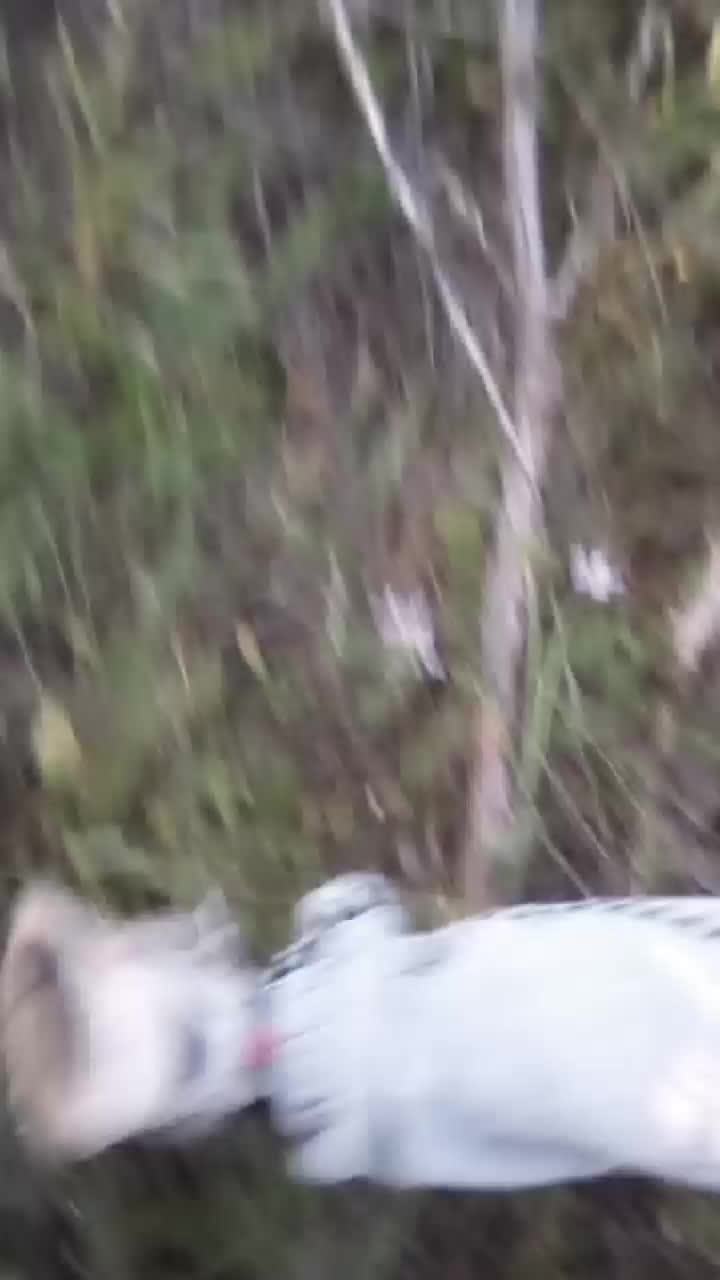 заброшка