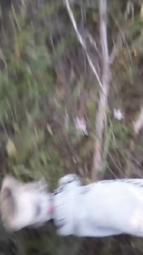 заброшка