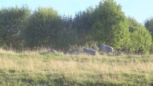 Путешествие по реке Медведица. Поход по Медведице Тверской на байдарках. Медведиха-Быково