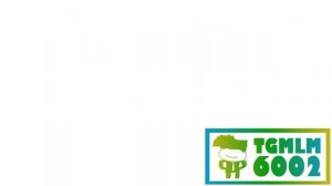 Kinder Bueno Reklama (2020) Effects