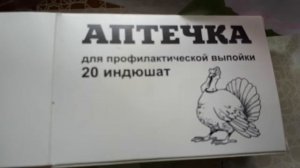 Индюшата породы Биг - 6. Кормление и уход на первой недели.