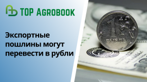 Экспортные пошлины могут перевести в рубли. TOP Agrobook: обзор аграрных новостей