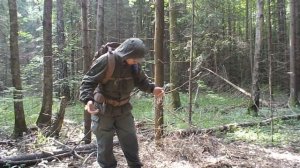 Зищити себя от комаров и клещей!Как правильно одеваться в лес.