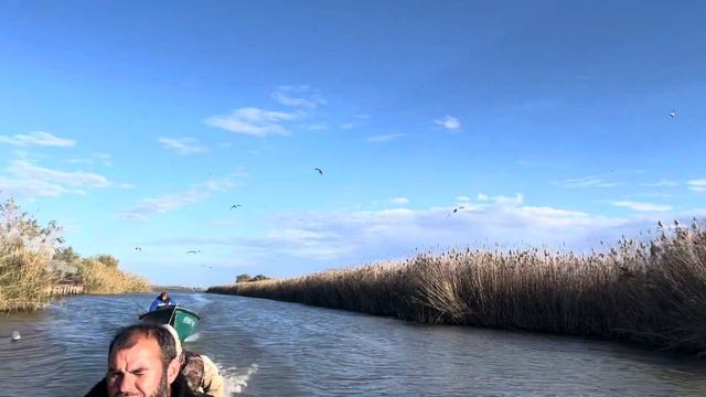 Рыбалка на дикого Сазана смотреть онлайн