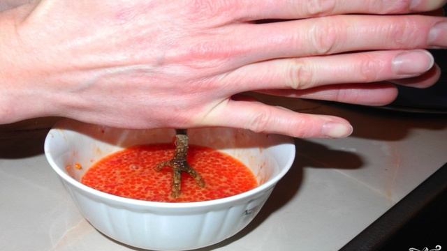 Засолка икры горбуши