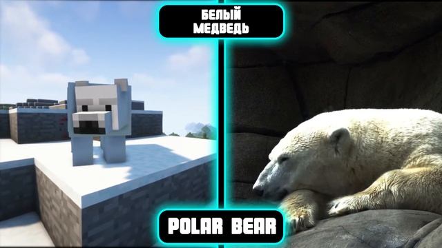 minecraft in real life! майнкрафт в реальной жизни! животные! animal! minesquad! смотреть онлайн