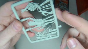 Анбокс Flayed Ones Warhammer 40k Necron