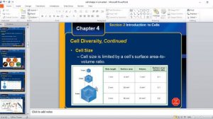 Why most cells are small in size?  Cells shapes   Diversity of cells . for 9th ,FSC and BS level.