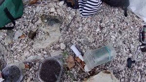 РЫБАЛКА НА ЛЕЩА ? ФИДЕР BROWNING SPHERE за 45 000 рублей ? МНОГО ЛОВИМ НА ФИЛЬТРЫ, УКРОП, ПШЕНИЦУ