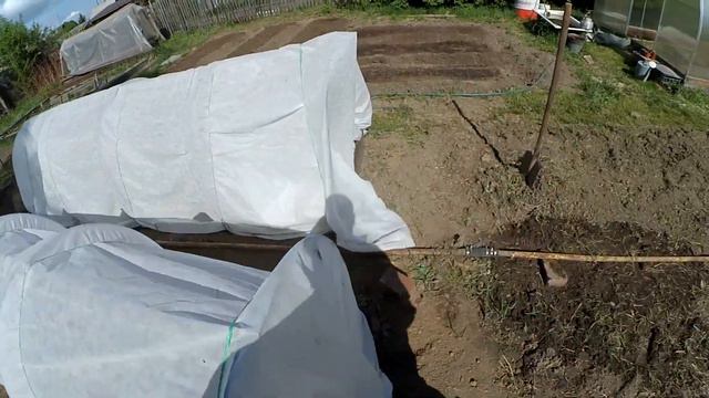 Дача 27 мая 2022 года смотреть онлайн