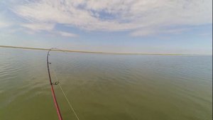 Озеро чаны 28.05.2020 "черный колок"