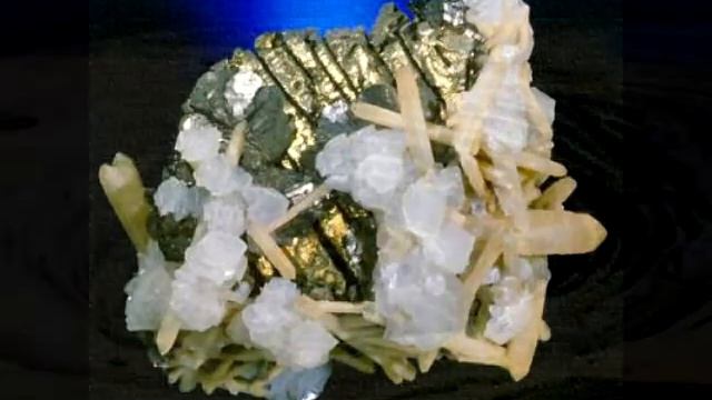 Сташная Тайна Приморского Края