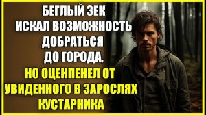 Беглый ЗЕК искал возможность добраться до города, но оцепенел от увиденного в зарослях кустарника.