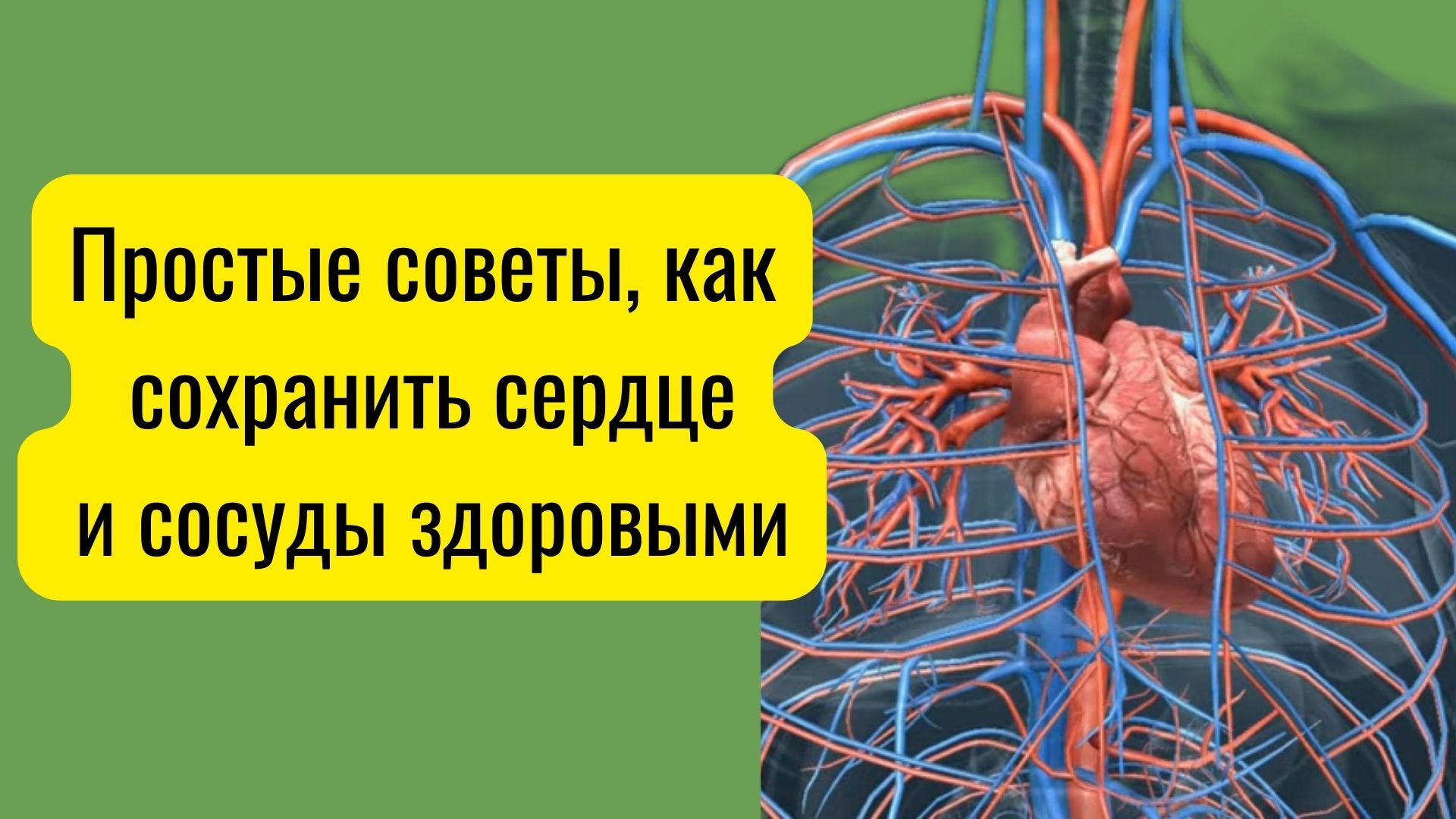 Простые но эффективные советы, как сохранить сердце и сосуды здоровыми.mp4