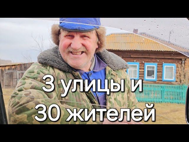 ДЕРЕВНЯ АММАЛА/ТРИ УЛИЦЫ И 30 ЖИТЕЛЕЙ#жизньвтайге #отшельник #тайга # степанабронин