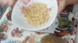 ПАЖИТНИК - от СТА болезней и для красоты