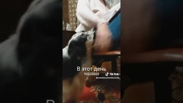 Какой ты воспитанный!...)))