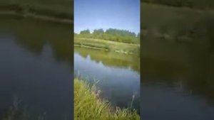 Рыбалка в Пензенской области, пруд "Сухой-2" +79374094444.