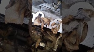 Замена датчика детонации Mazda Demio de3fs