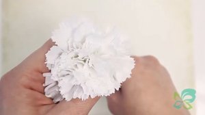 Гвоздики МунАква из фоамирана l Из серии мастер-классов по созданию венка "Тайный сад"